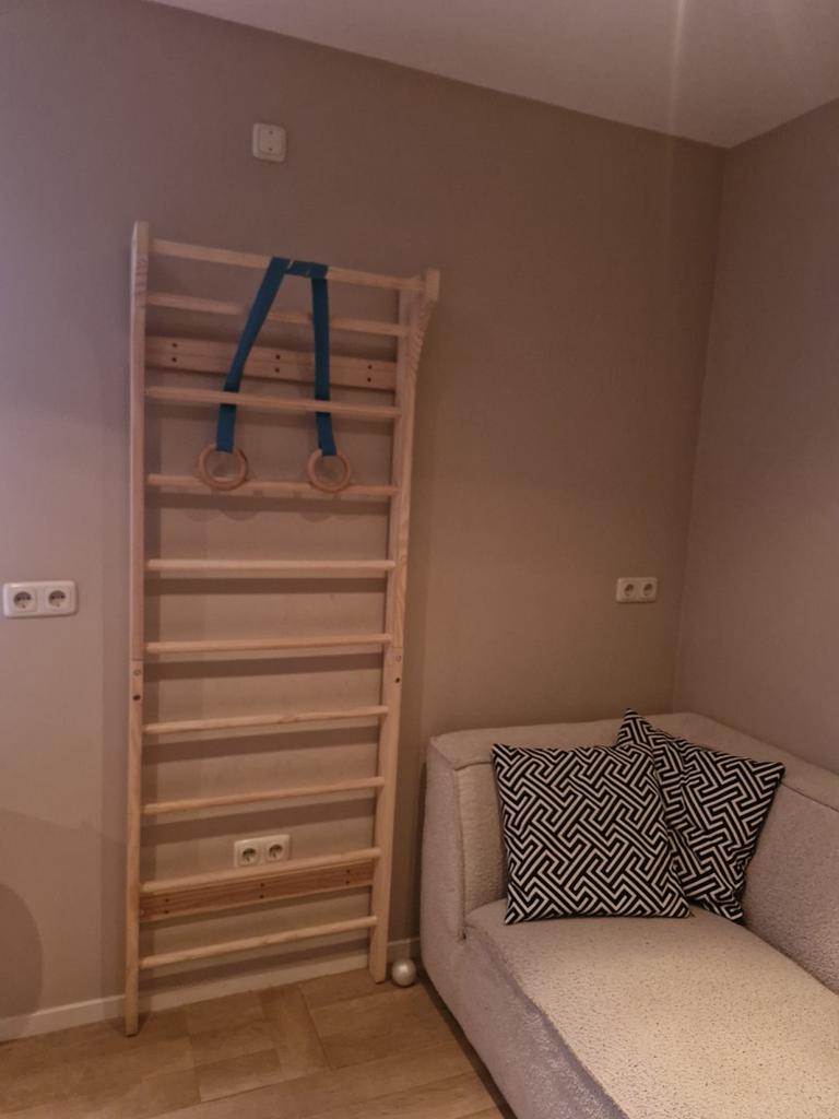 Houten klimrek met ringen - Perfect voor thuisgym, Ophalen, Zo goed als nieuw, Jongen of Meisje