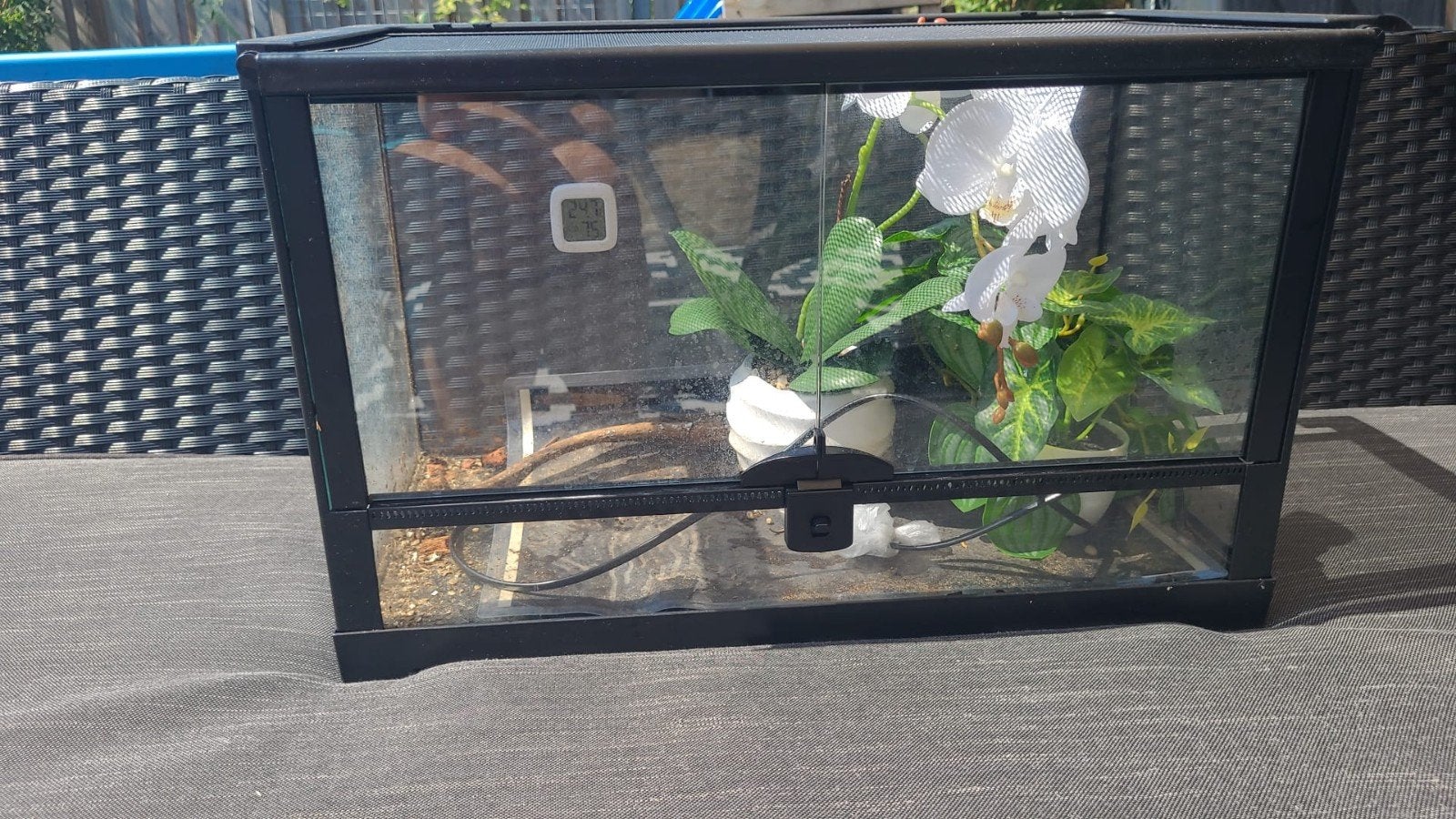 🦎🐊🐸 Prachtig Terrarium 🐸🐊🦎, Ophalen, Zo goed als nieuw
