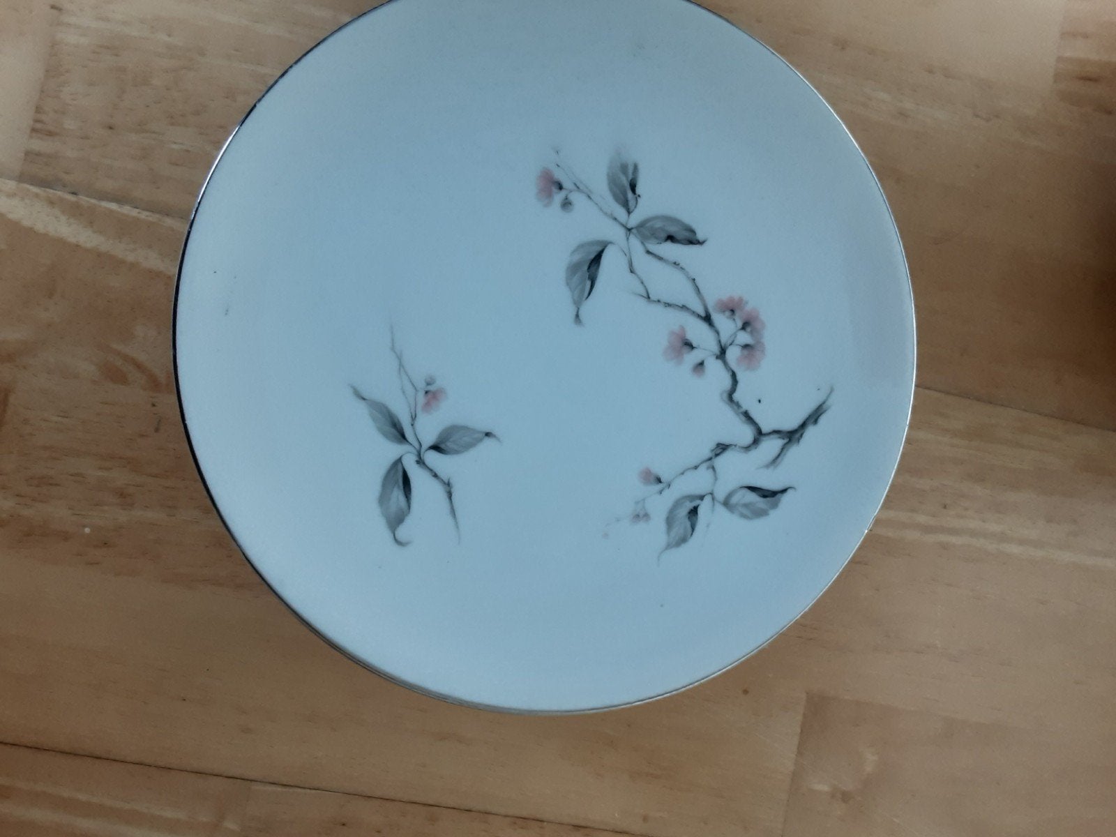 servies 42 delig merk SPENZO, Ophalen, Porselein, Overige stijlen, Bord(en)