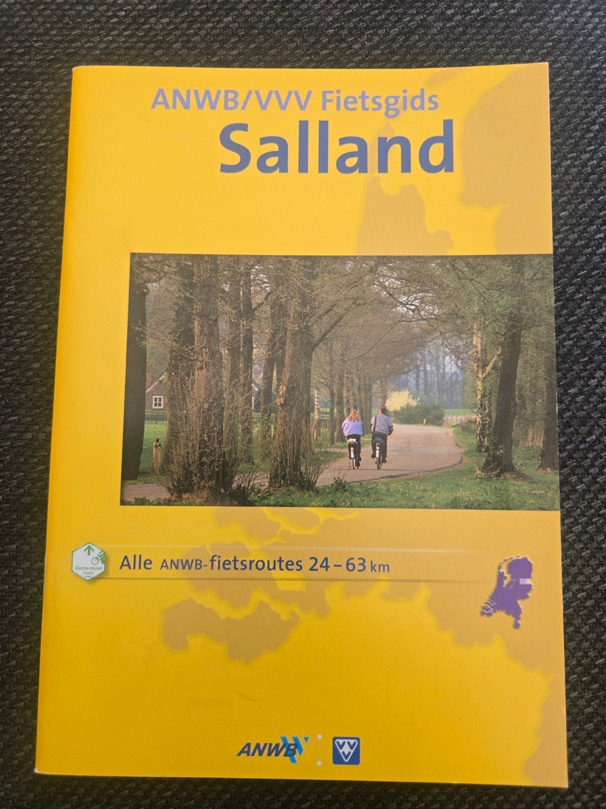 ANWB fietsgids Salland, Boeken, Fiets- of Wandelgids, Europa, Ophalen of Verzenden, Zo goed als nieuw