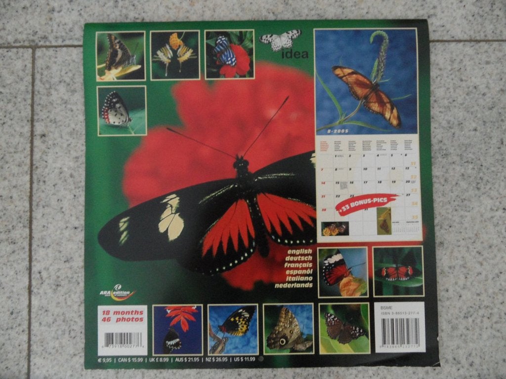 vlinder prenten, Natuur, 1980 tot heden, Nieuw, Ophalen of Verzenden