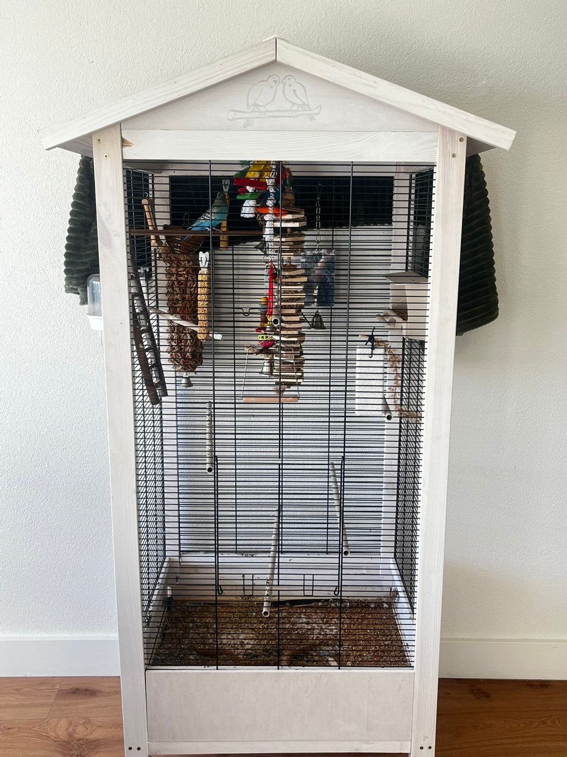 Parkiet met kooi te koop, Ophalen, Zo goed als nieuw, Metaal, Vogelkooi