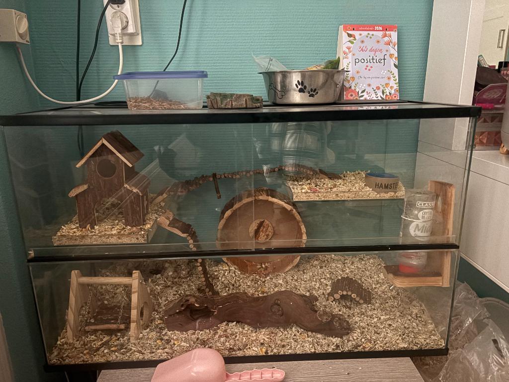 Mooi terrarium met muizen, Minder dan 75 cm, Hok, Ophalen, Minder dan 60 cm