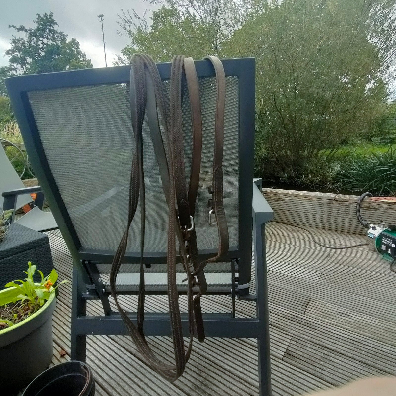 leidsels maat full, Dieren en Toebehoren, Ophalen of Verzenden, Bruin, Full