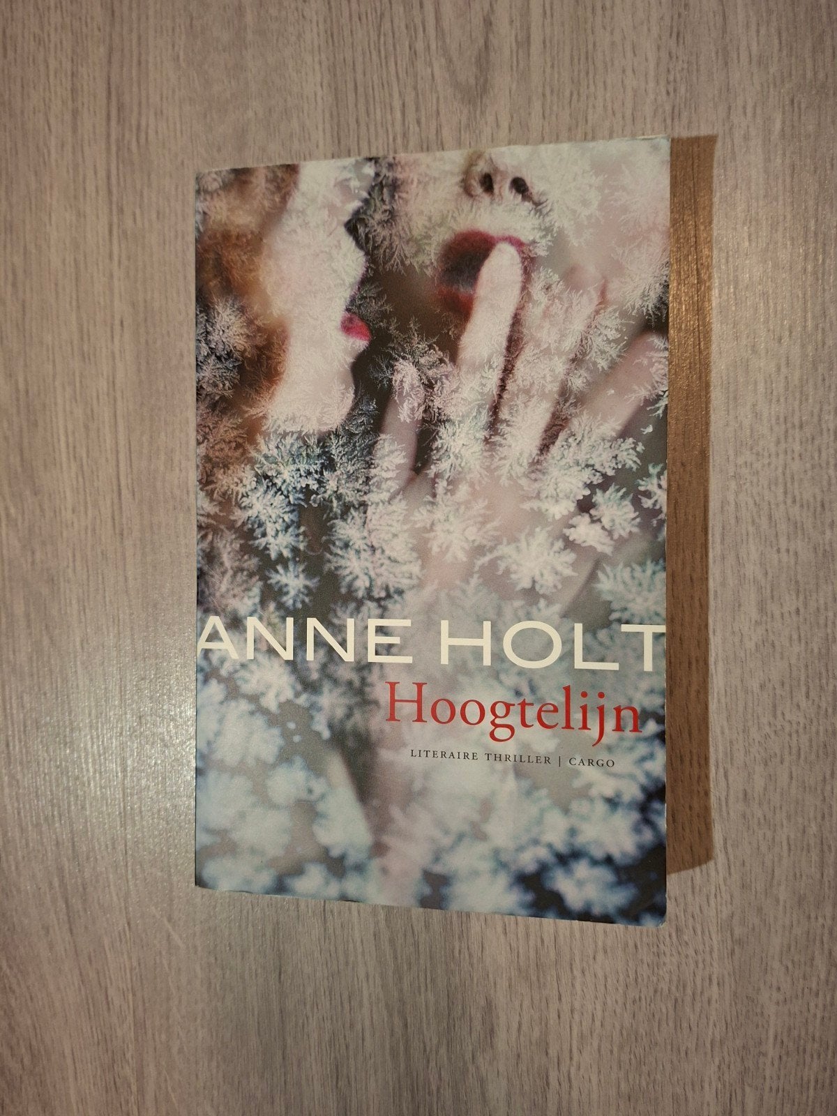 Anne Holt - Hoogtelijn - Literaire thriller, Boeken, Ophalen of Verzenden