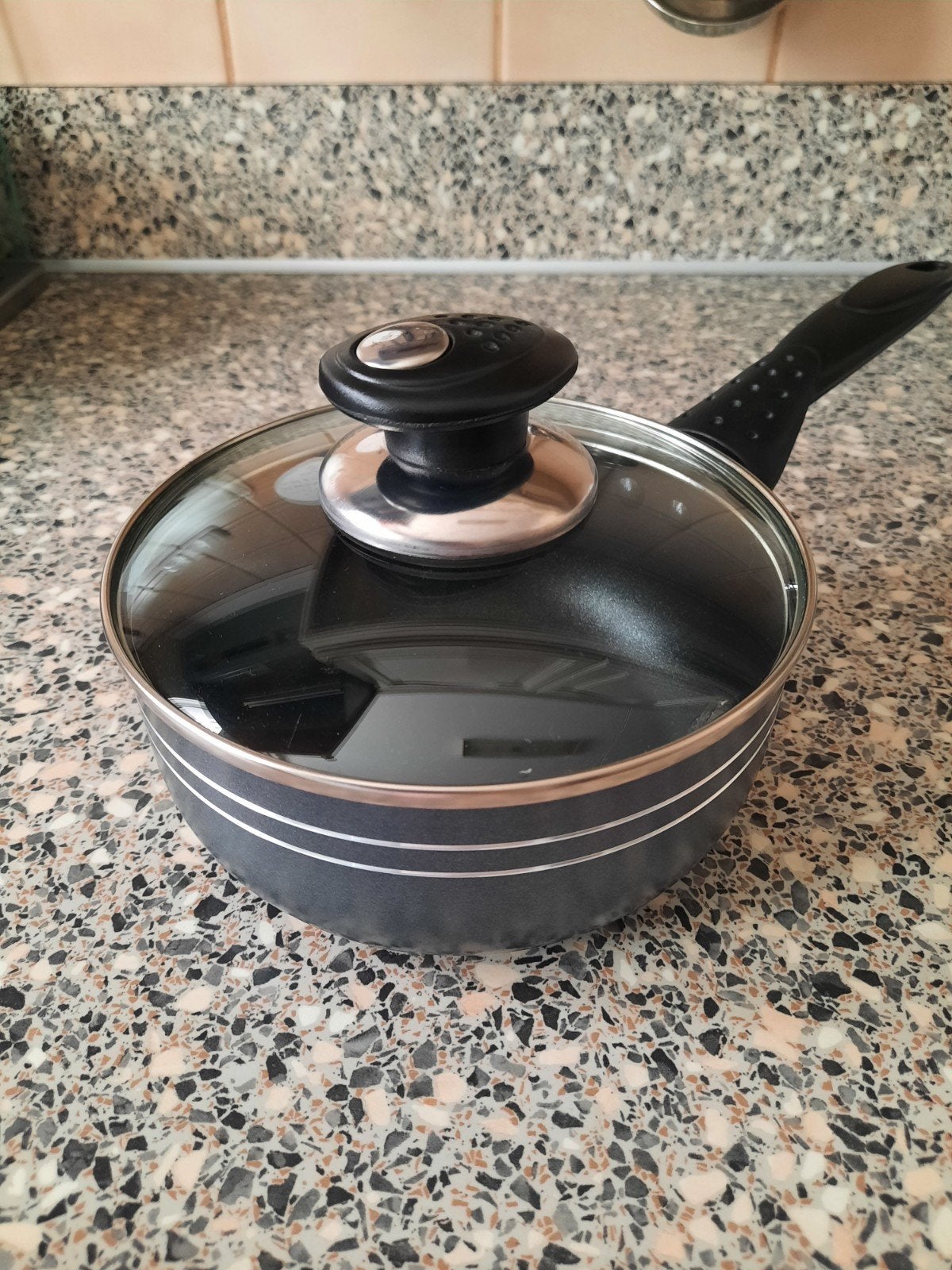 Steelpan met deksel, Met deksel, Ophalen of Verzenden, Nieuw, Kookpan