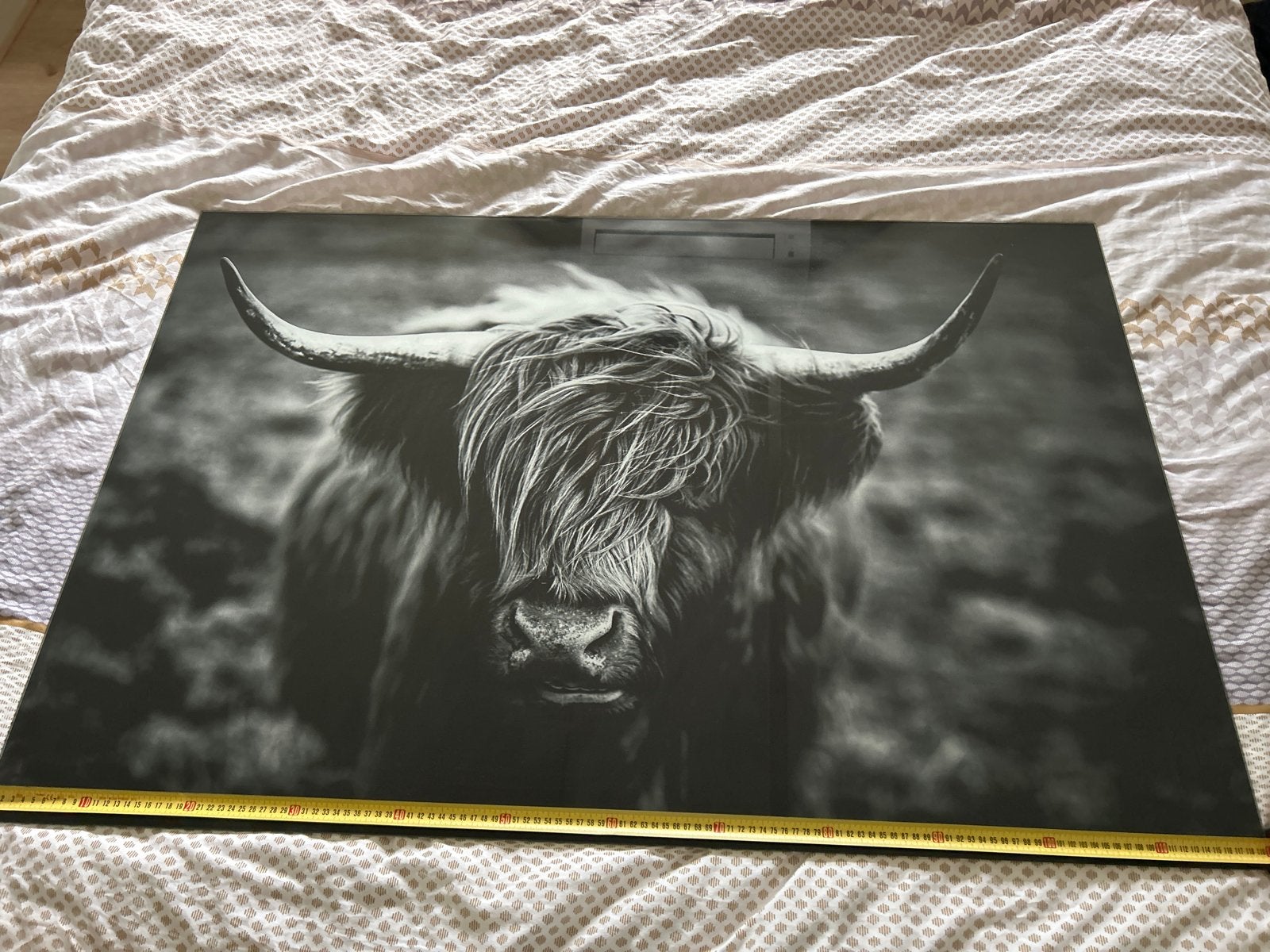 Grote glasplaat met buffel 120x80 cm, Ophalen, Gebruikt, 100 tot 125 cm, Foto of Poster
