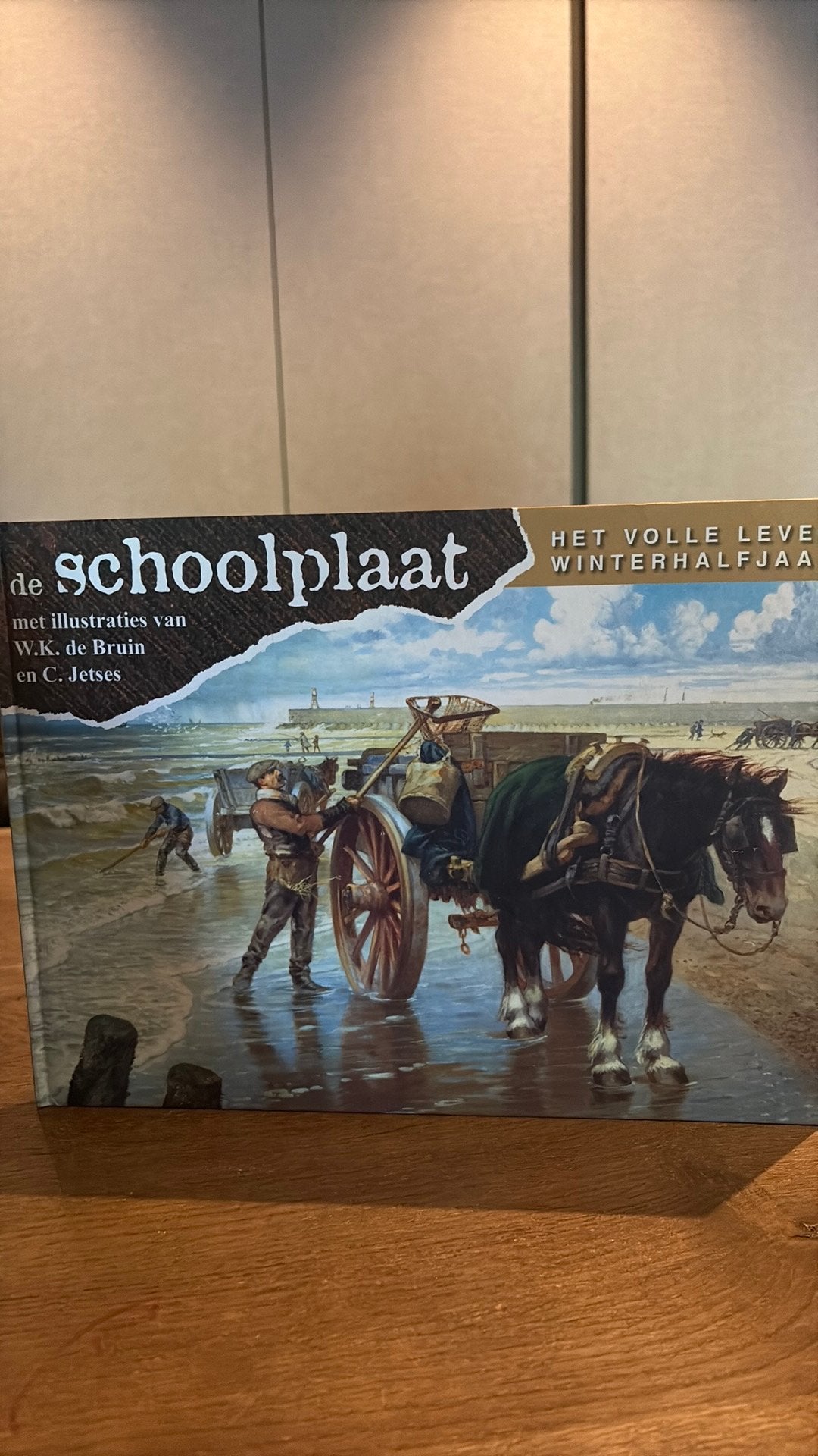De Schoolplaat het Volle Leven Winterhalfjaar C Jetses Dl 5, Boeken, Ophalen of Verzenden, Gelezen, F. van Dulmen, Non-fictie