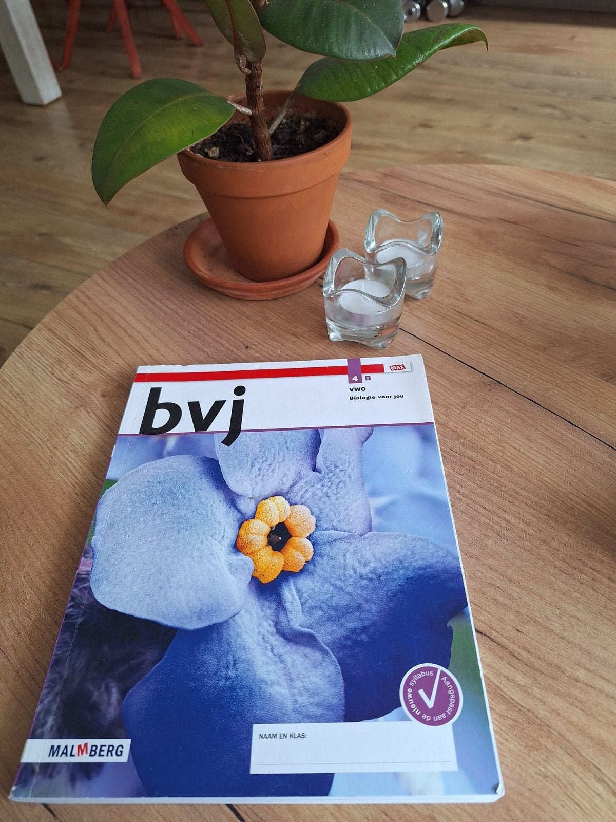 Biologie voor jou 4B VWO Malmberg, Boeken, Verzenden, Gelezen, VWO, Biologie