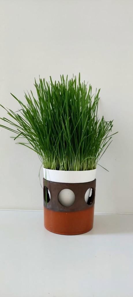 vintage Scandinavische Duitse stijl  70 bloempot bloem pot, Eu, Eu, Rond, Ophalen of Verzenden