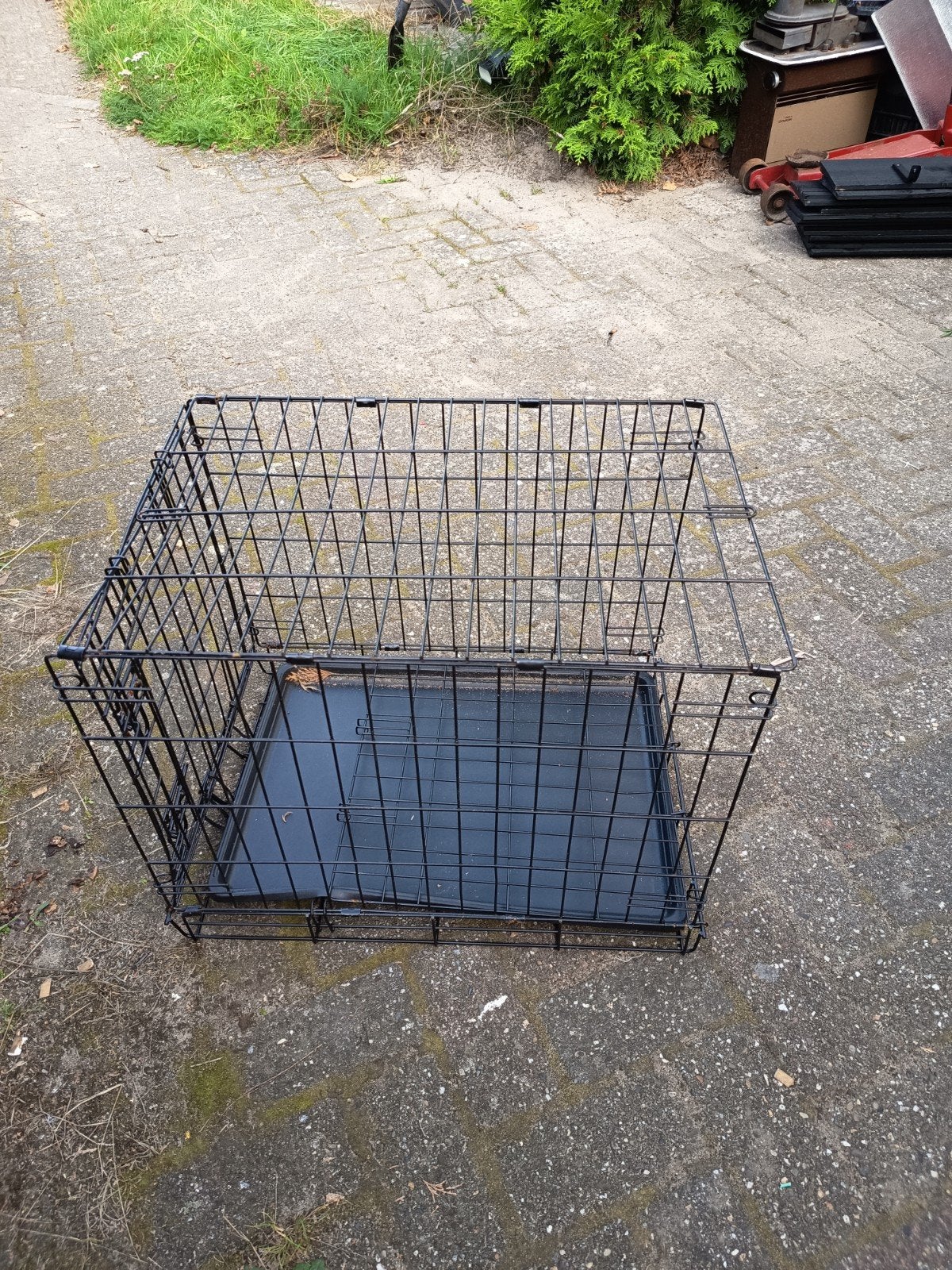 bench kleine hond of kat, Ophalen