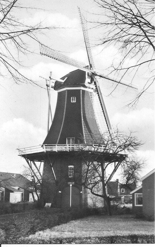 Ansichtkaart Korenmolen De Korenbloem Vriescheloo 1973, Verzamelen, Ansichtkaarten | Nederland, Ophalen of Verzenden, 1960 tot 1980