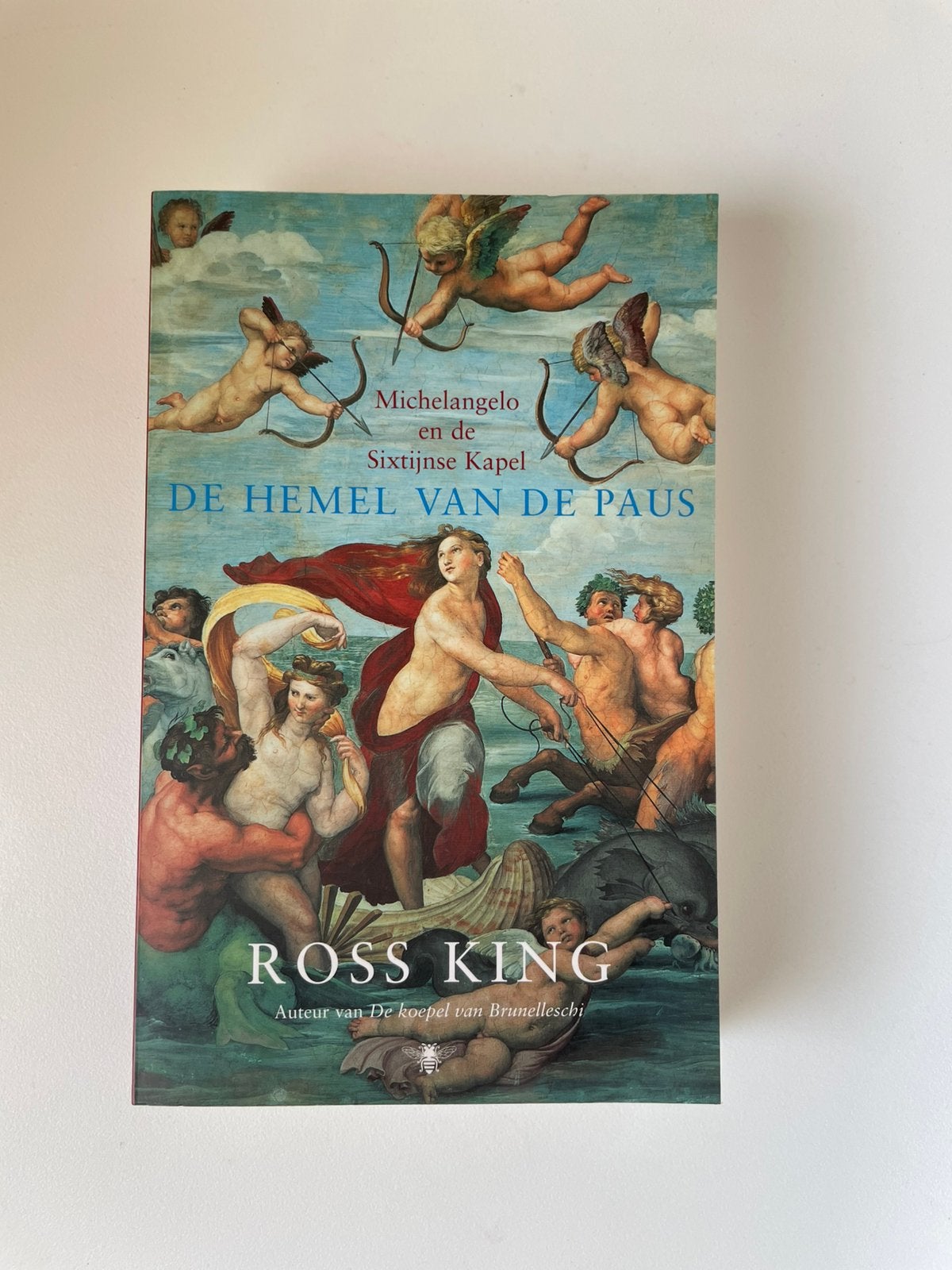 boek Ross King, De hemel van de Paus, Michelangelo Sixtijnse, Ophalen of Verzenden, Gelezen, Schilder- en Tekenkunst