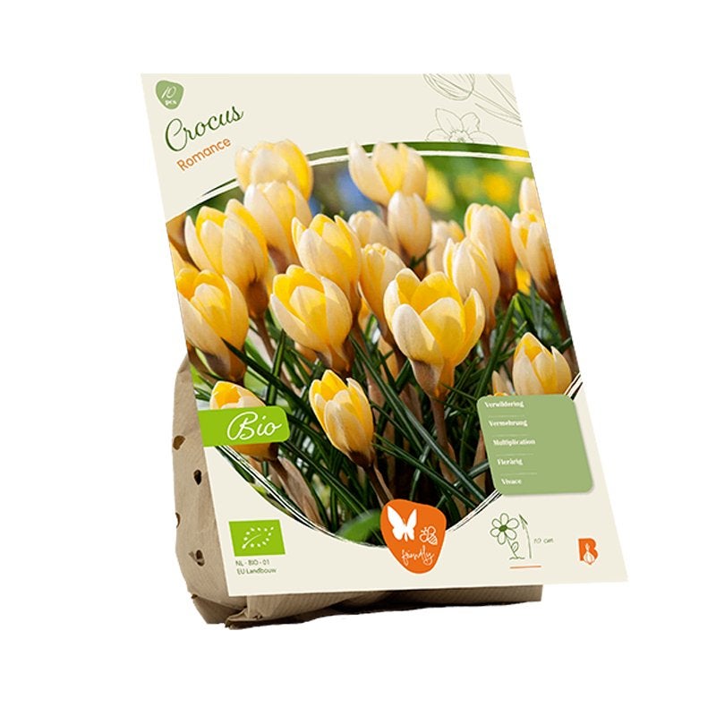 Krokus (Crocus chrysanthus ‘Romance’) BIOLOGISCH, Tuin en Terras, Ophalen of Verzenden, Najaar, Volle zon, Bloembol