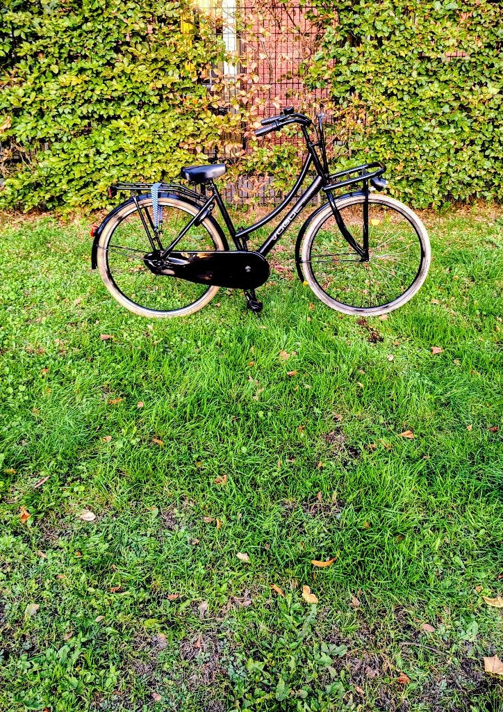 Te koop: Damesfiets Vogue Transporter, Terugtraprem, 53 tot 56 cm, Versnellingen, Zo goed als nieuw