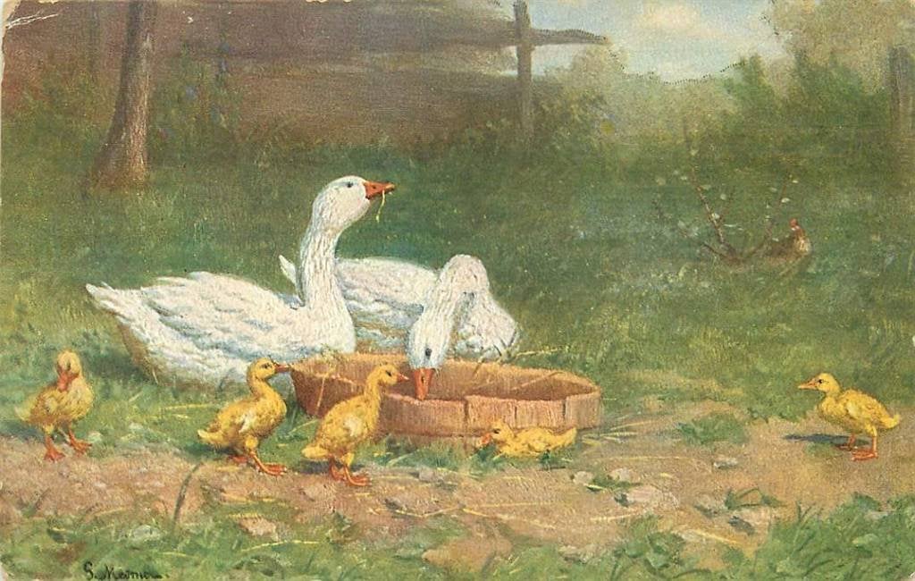381-180-009 Kuikens, Verzenden, Voor 1920, Voertuig