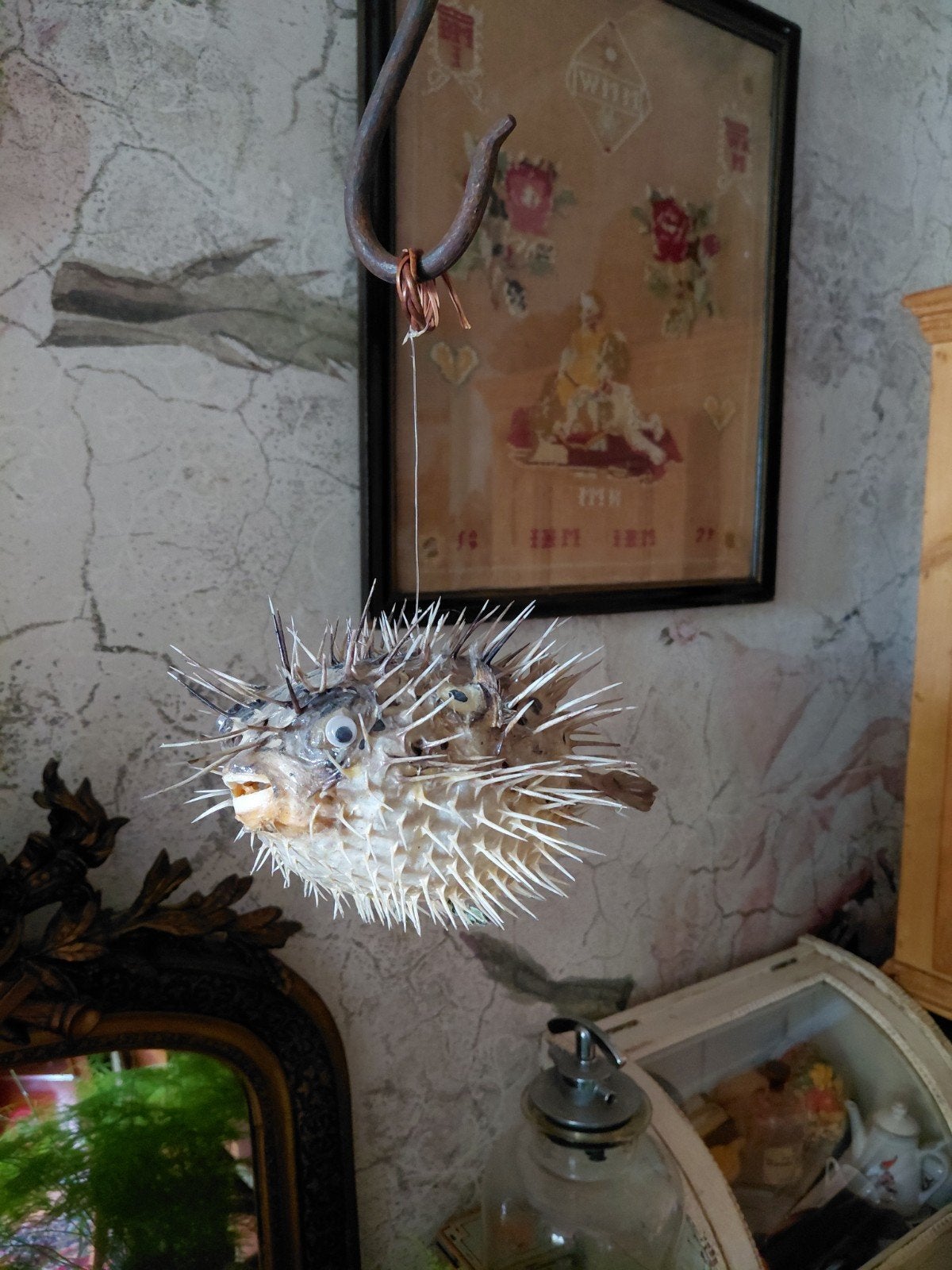egelvis /kogelvis, Ophalen of Verzenden, Zo goed als nieuw, Beeldje of Figuurtje