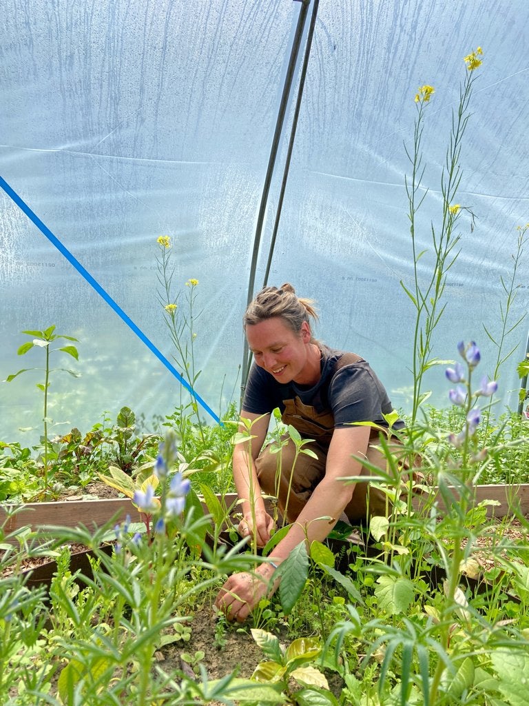 Hulp in de tuin, tuinman hovenier tuinhulp, Ophalen