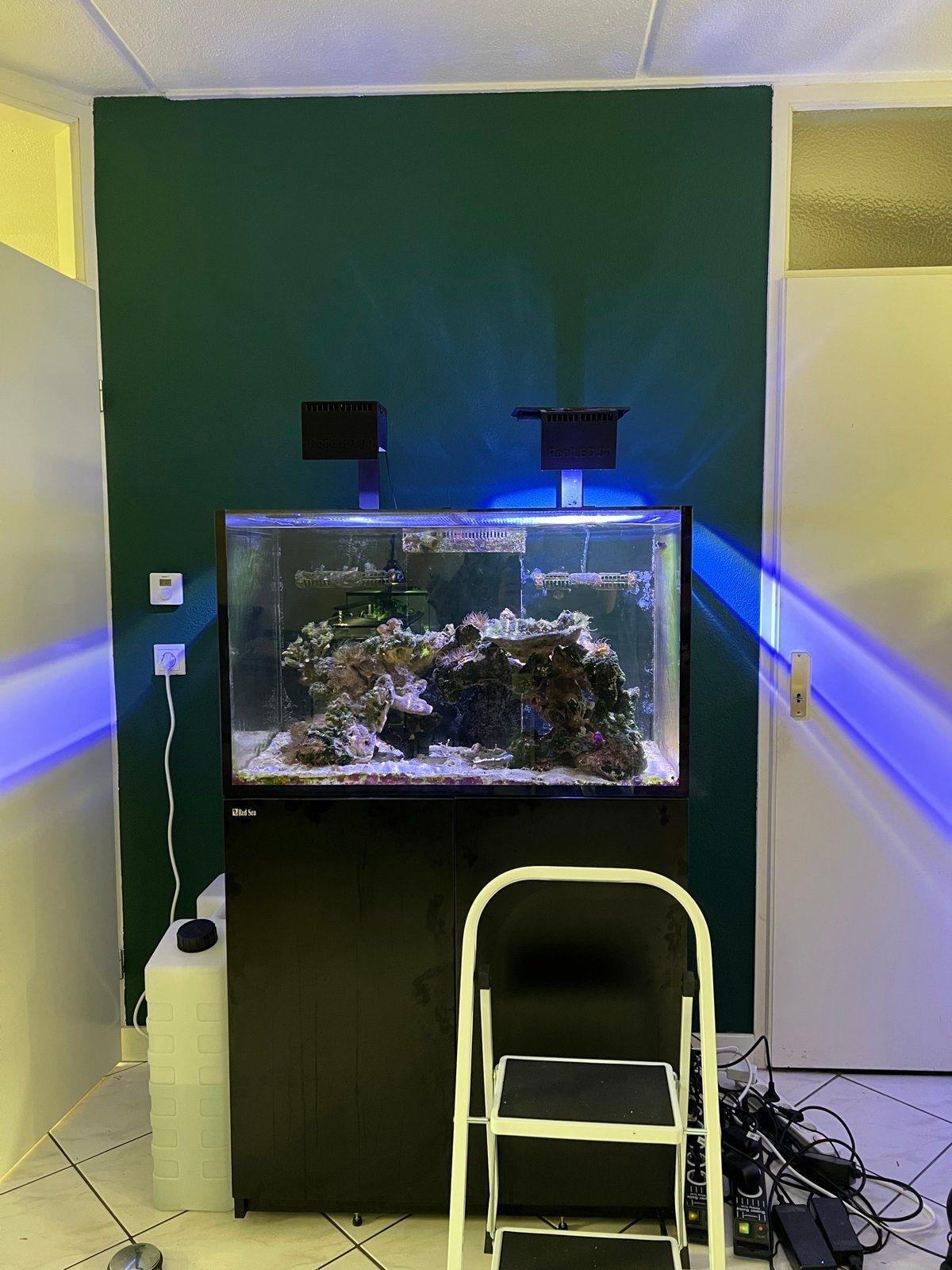Red Sea Reefer 300 g2 inclusief apparatuur en inhoud, Dieren en Toebehoren, Ophalen, Red Sea, Gevuld zeewateraquarium, Gebruikt