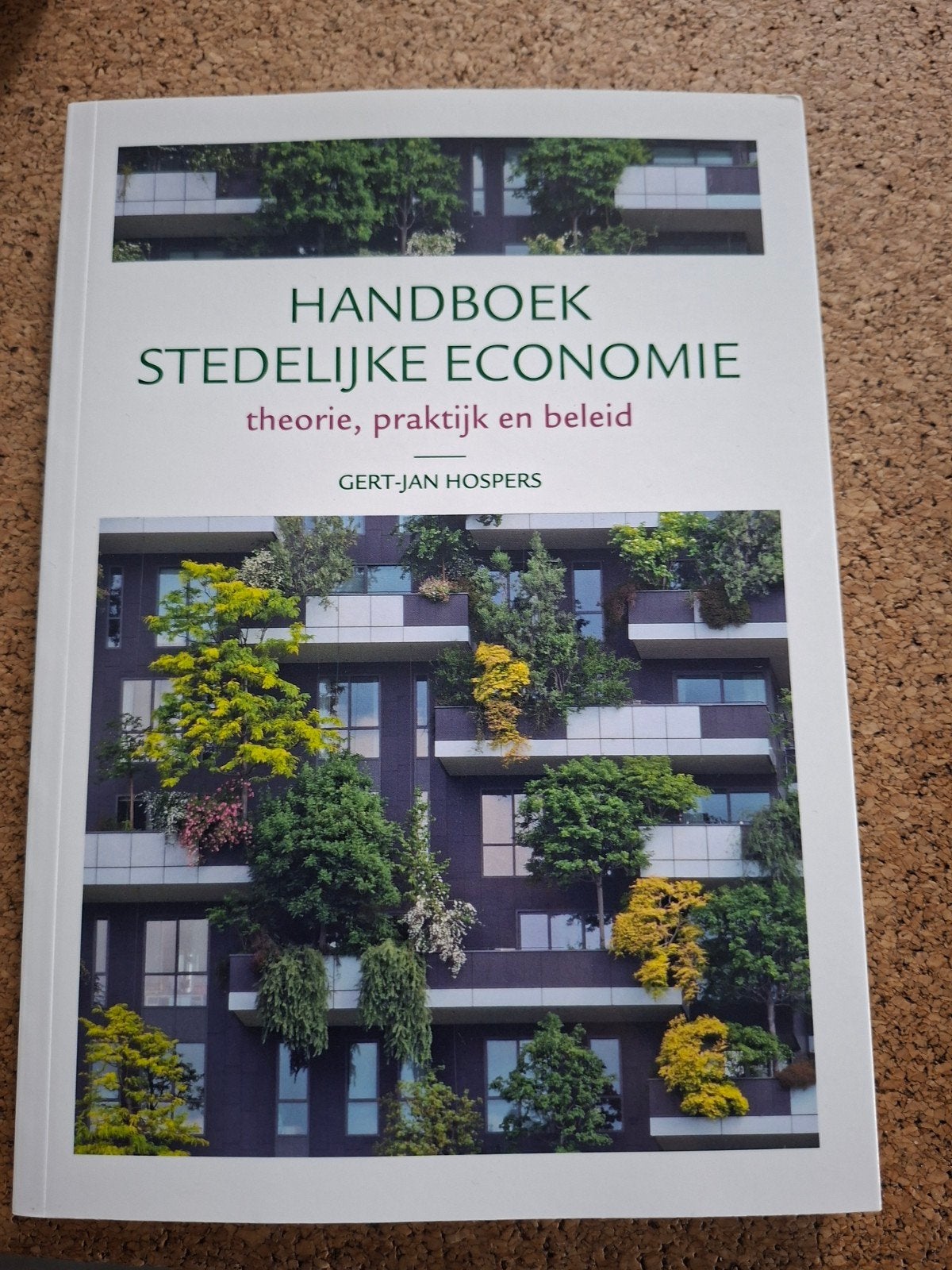 Handboek Stedelijke Economie: theorie, praktijk en beleid, Ophalen of Verzenden, Zo goed als nieuw, Economie en Marketing, Gert-Jan Hospers
