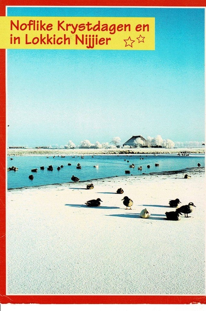 Kerstkaart, Friesland, eenden, Ophalen of Verzenden, 1980 tot heden, Gelopen, Friesland