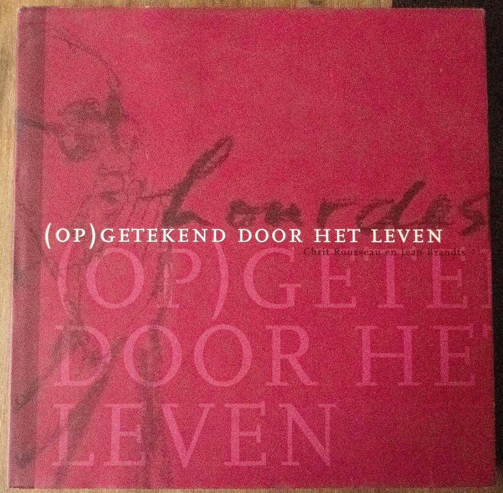 Boek  Opgetekend door het Leven - C.Rousseau/J.Brandts, Ophalen of Verzenden, Gelezen, Christendom | Katholiek