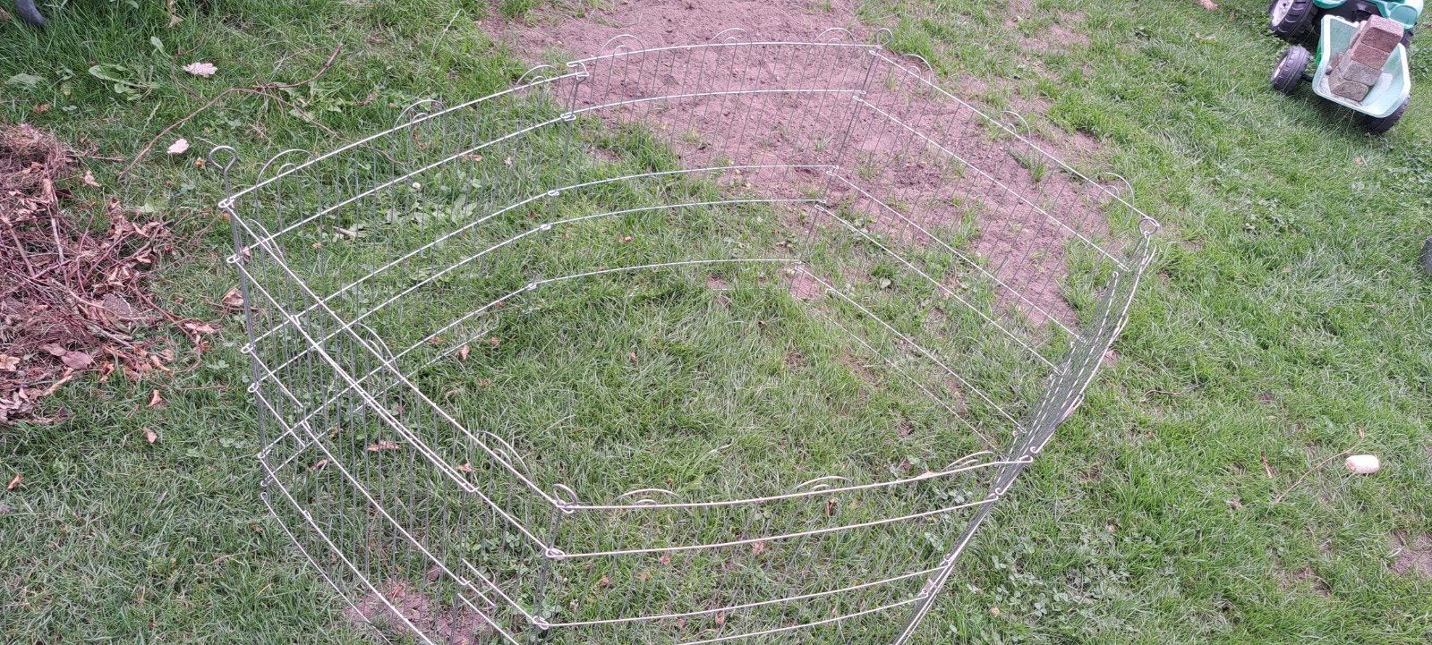 Ren konijnen, Dieren en Toebehoren, Ophalen, 110 cm of meer, Ren, Minder dan 60 cm