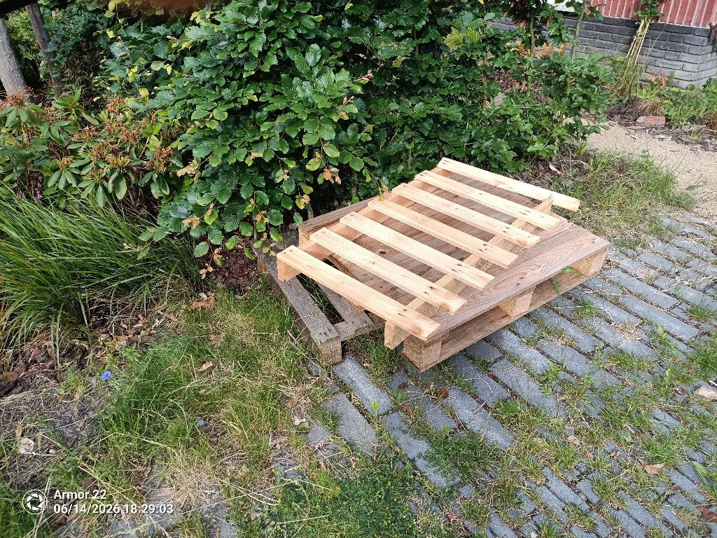 Pallets gratis op te halen, Ophalen, Zo goed als nieuw, 50 mm of meer, Pallet