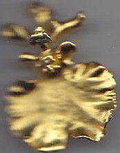 (Echte Orchidee)  Broche/hanger 22Kr Gold Plated, Ophalen of Verzenden, Nieuw, Goud, Overige materialen