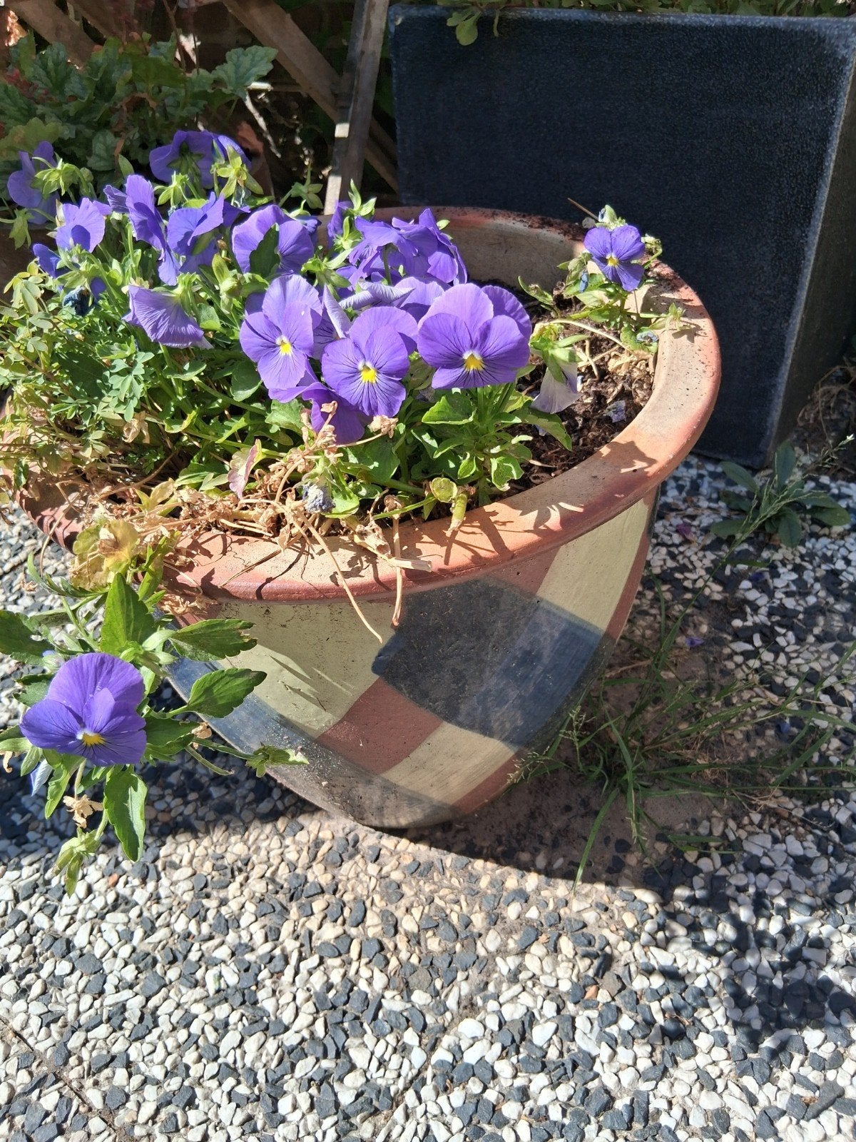 Terracotta bloempot met vrolijke violen, 25 tot 40 cm, Gebruikt, Rond, Ophalen of Verzenden