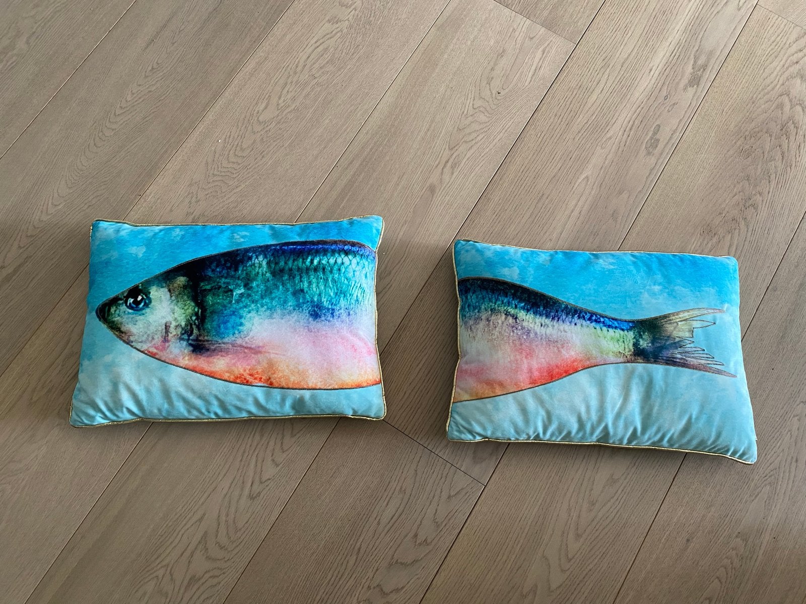 Bijzondere sierkussens met vissenprint, Overige merken, Meerkleurig, Met print, Nieuw