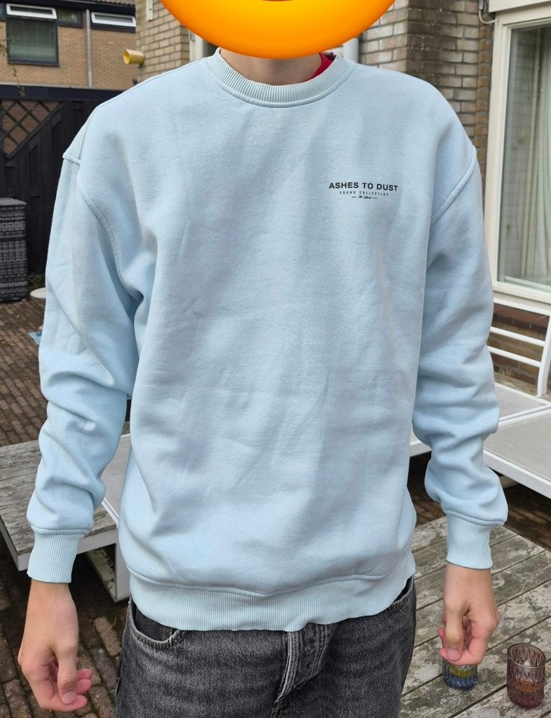 Trui van Ashes to dust (Sting) maat S, Kleding | Heren, Ophalen of Verzenden, Gedragen, Maat 46 (S) of kleiner, Blauw