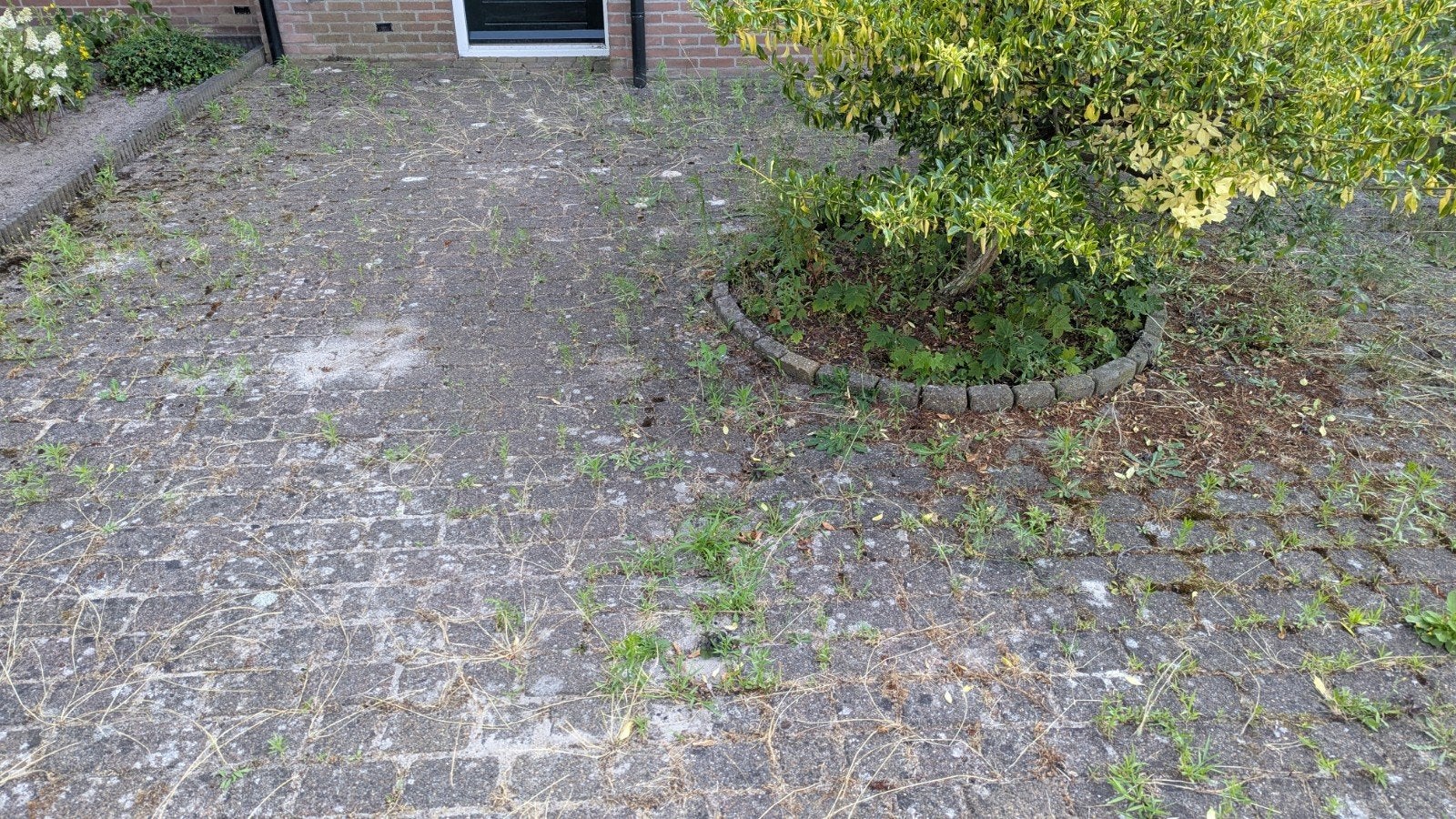 Gratis: Ongeveer 30m2 gebruikte stenen in 2 formaten, Tuin en Terras, Tegels en Klinkers, Ophalen, Gebruikt, Klinkers, 10 m² of meer