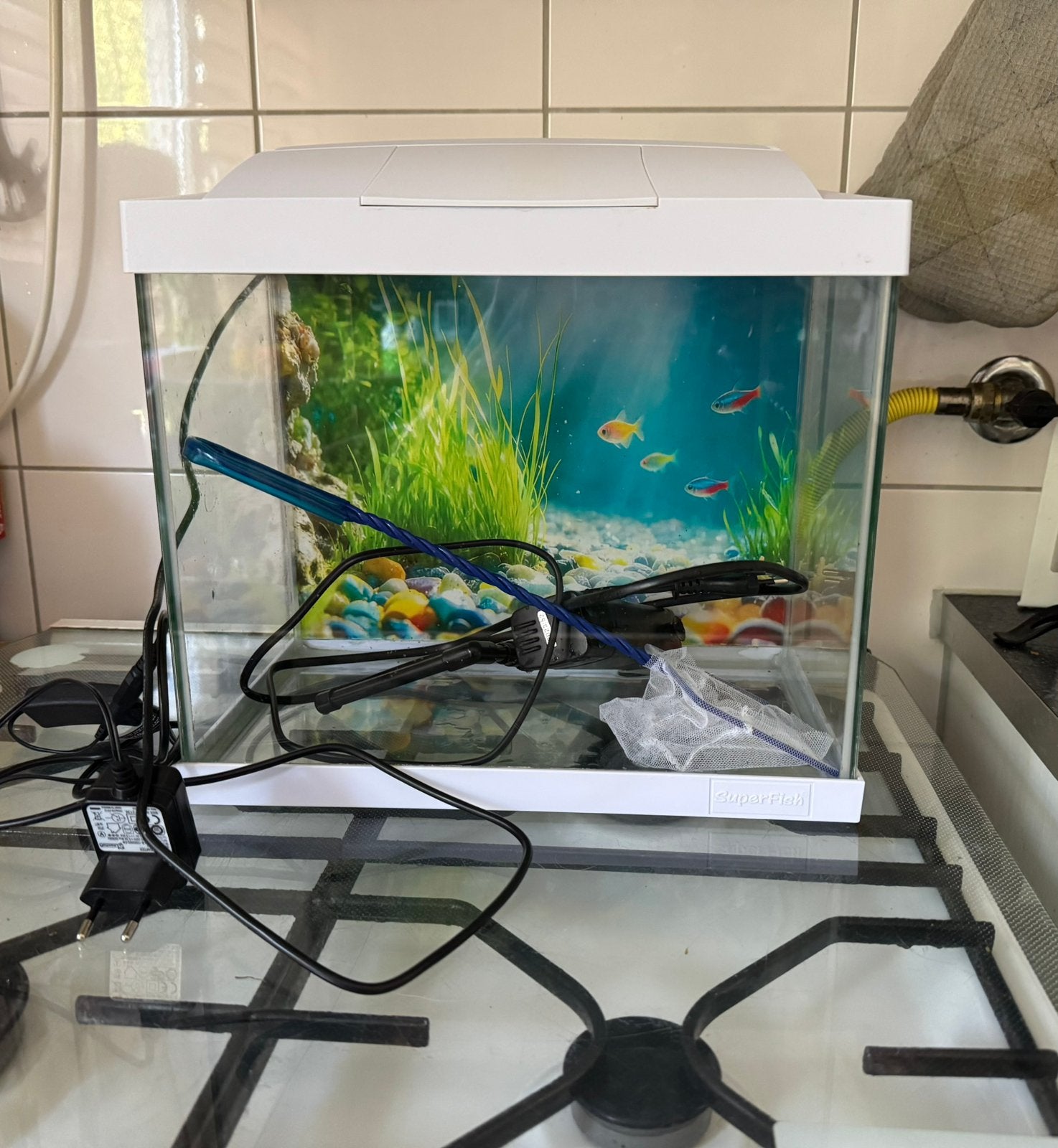 Superfish aqarium start 20, Dieren en Toebehoren, Ophalen of Verzenden, Zo goed als nieuw, Leeg aquarium