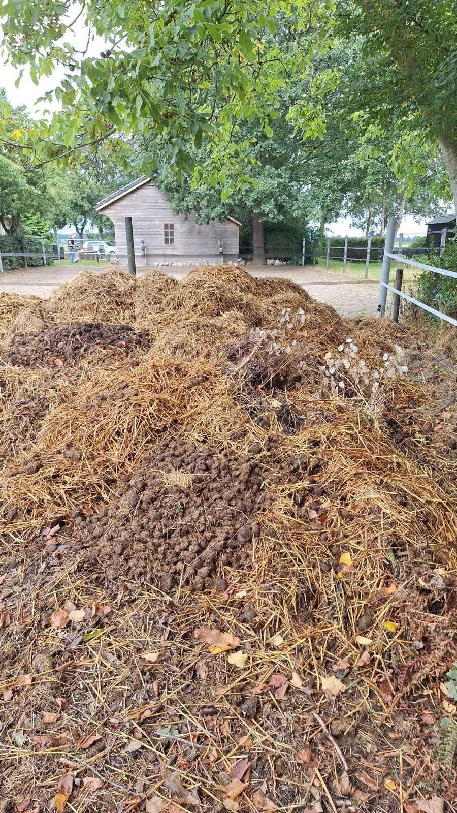Paardenmest, Tuin en Terras, Aarde en Mest, Ophalen, Tuinaarde