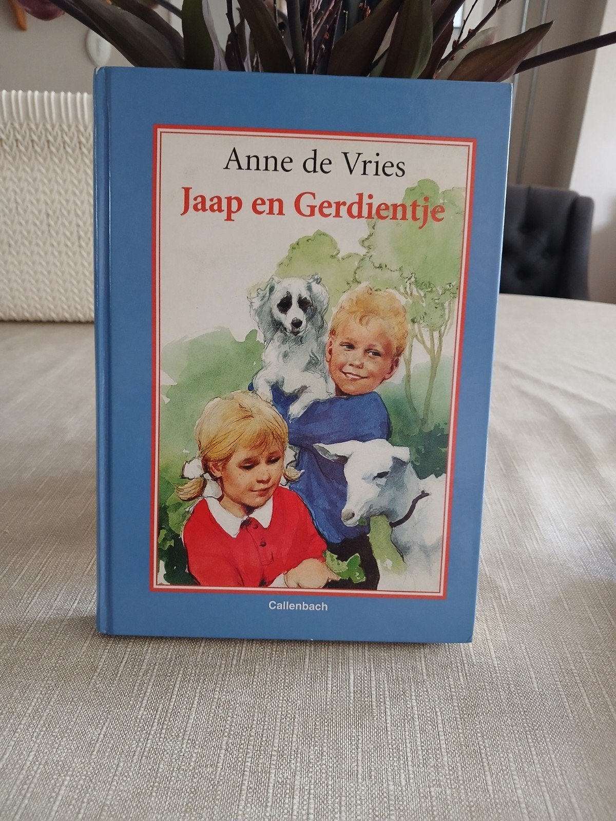 Jaap en Gerdientje - Anne de Vries (Callenbach), Ophalen of Verzenden, Zo goed als nieuw, Anne de Vries, Fictie algemeen