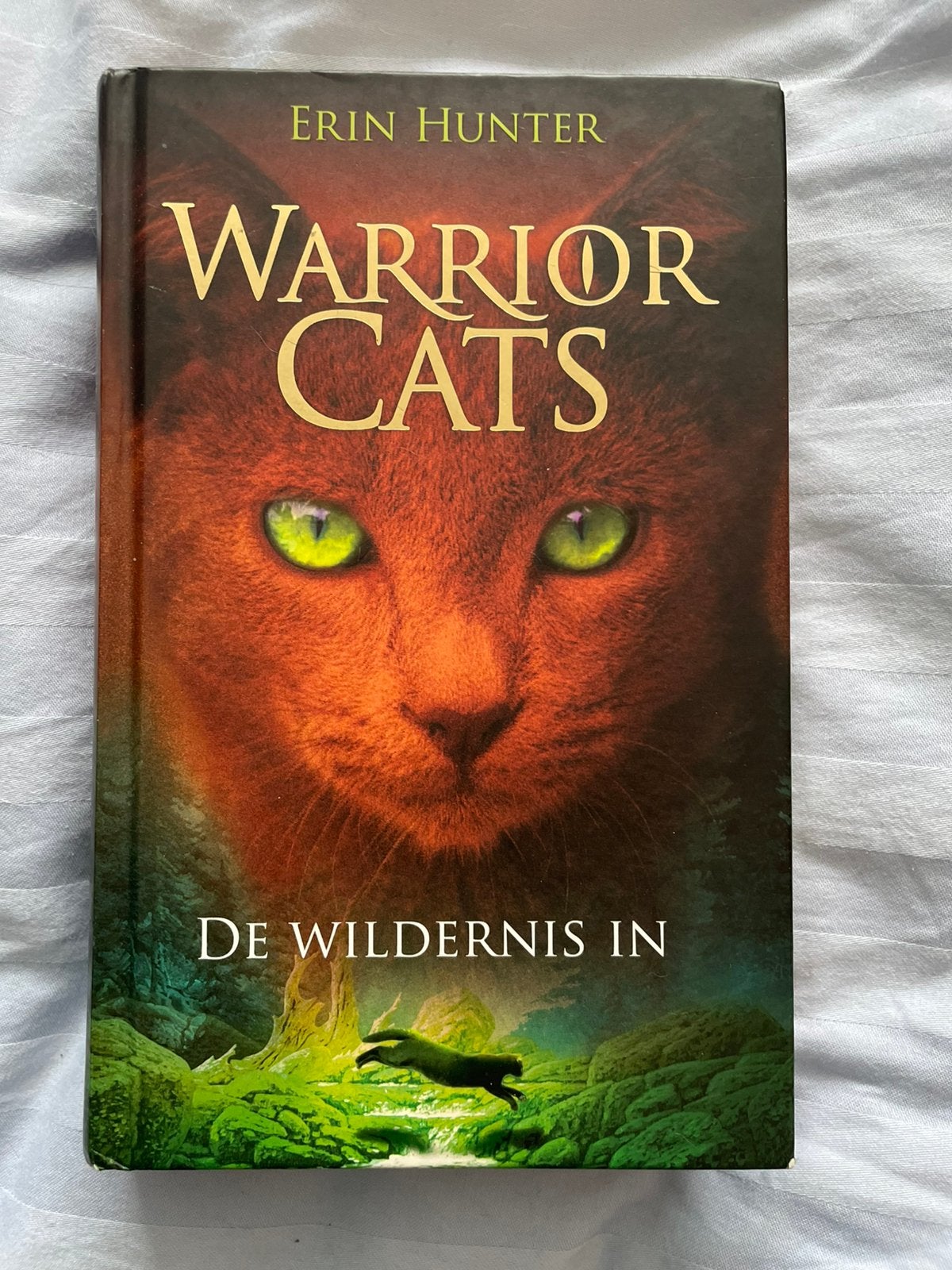 Warrior cats De wildernis in, Boeken, Ophalen of Verzenden, Zo goed als nieuw