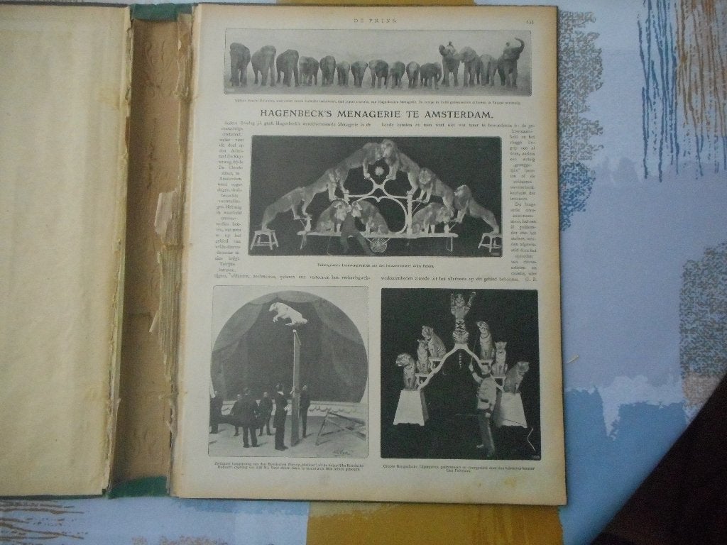 Circus. Menagerie. Hagenbeck. Amsterdam. 1913., Verzamelen, Tijdschriften, Kranten en Knipsels, Ophalen of Verzenden, Voor 1920