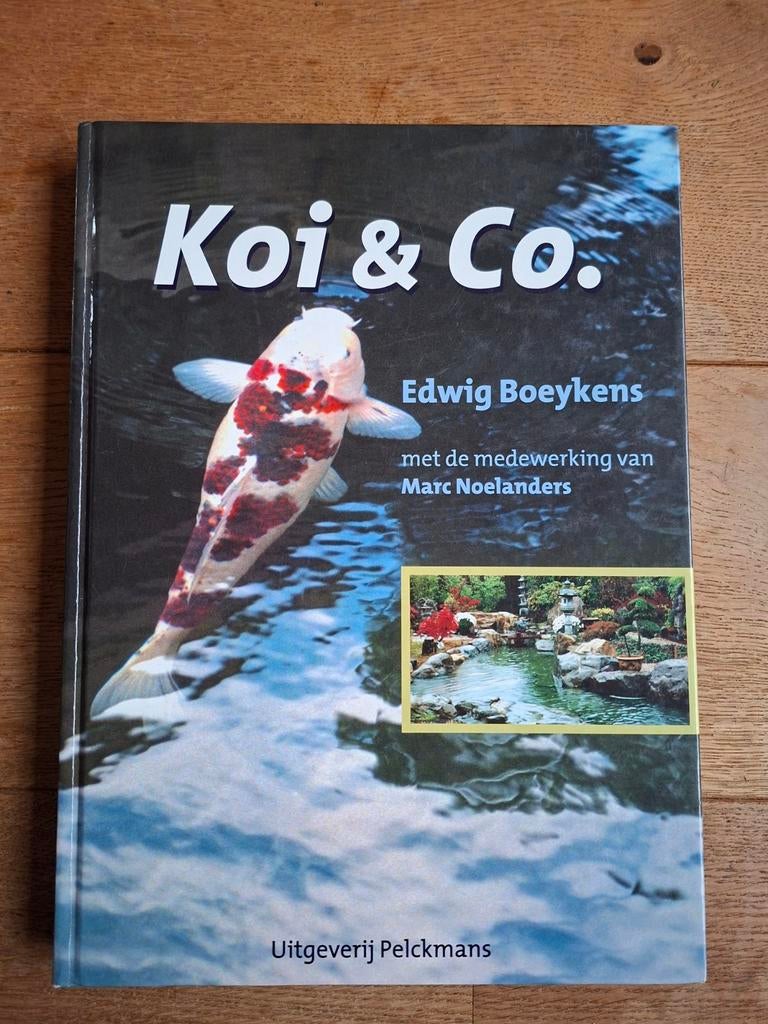 Koi & Co. - Edwig Boeykens - Alles over koi houden, Ophalen of Verzenden, Zo goed als nieuw, Overige onderwerpen, Edwig Boeykens