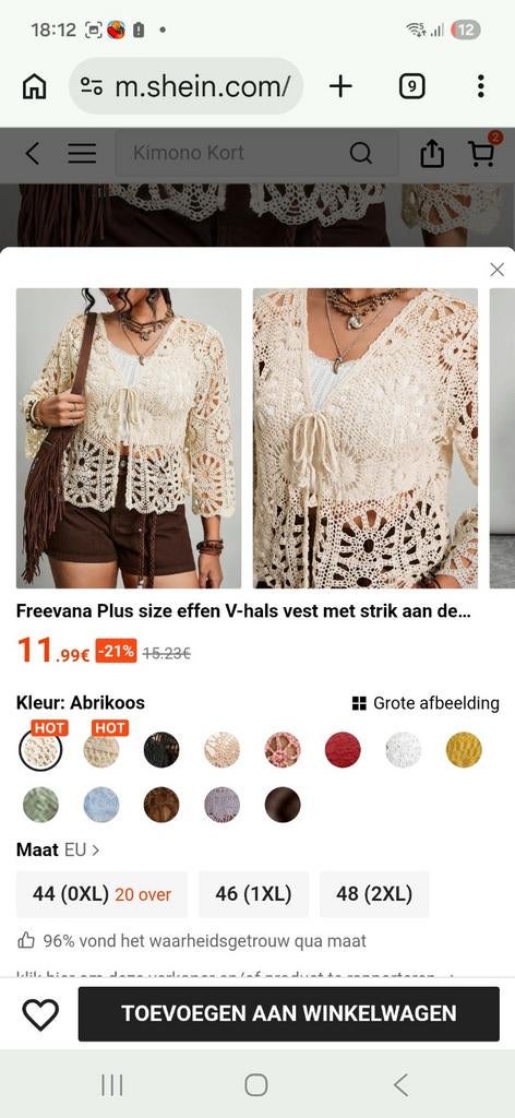 LEUK CROCHET KANTEN VESTJE MAAT 2XL 48, Kleding | Dames, Ophalen of Verzenden, Zo goed als nieuw, Maat 46/48 (XL) of groter