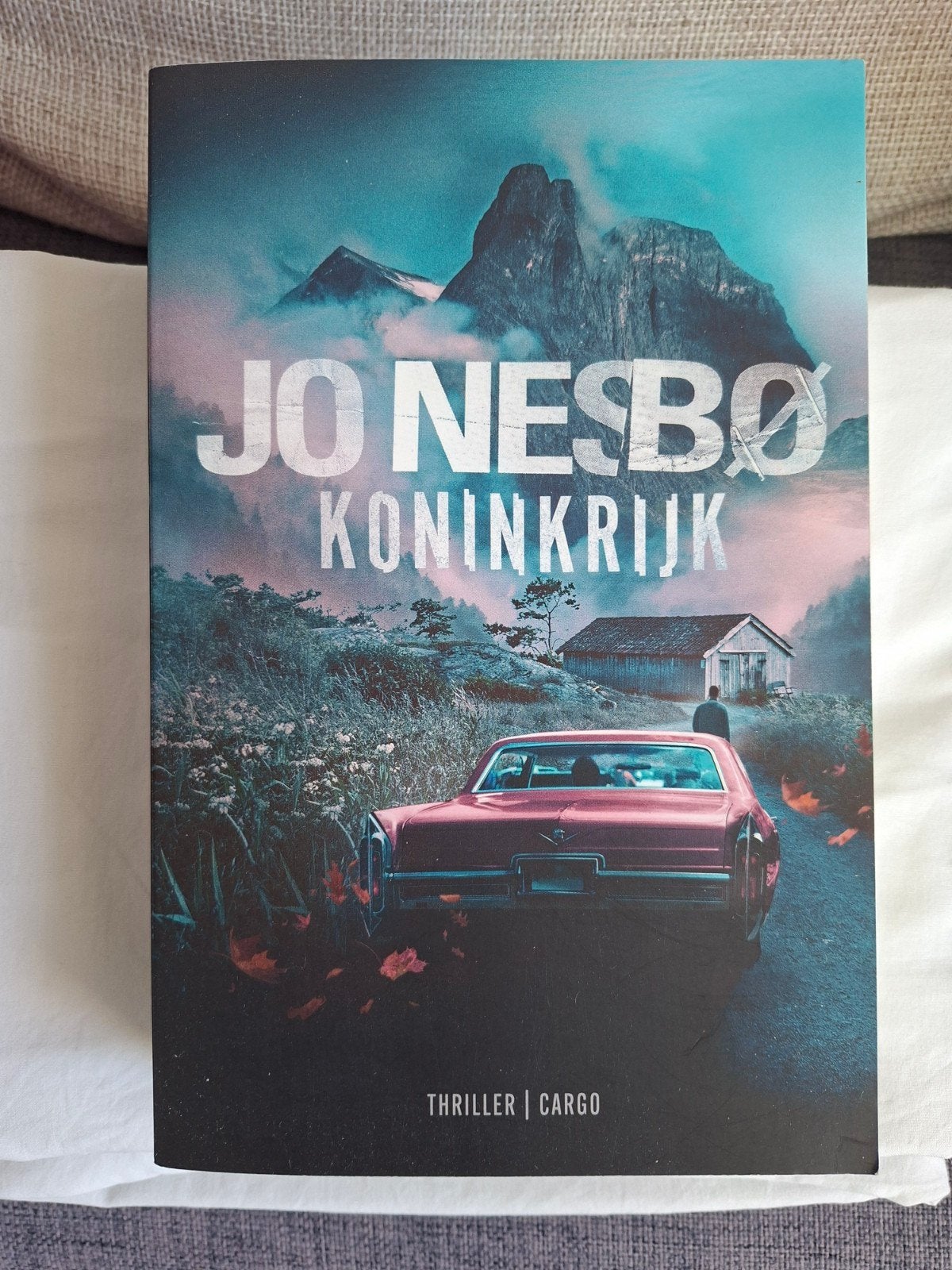 Jo Nesbo - Koninkrijk, Boeken, Thrillers, Zo goed als nieuw, Amerika, Ophalen