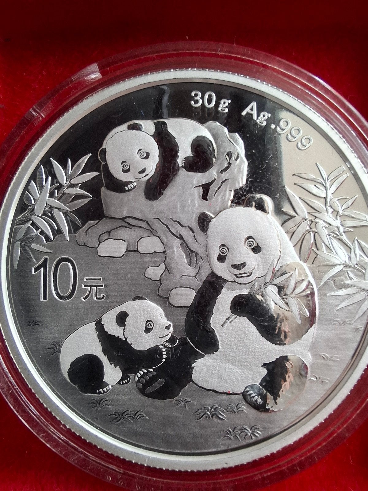 Grote collectie Panda zilveren munten., Ophalen of Verzenden, Zilver