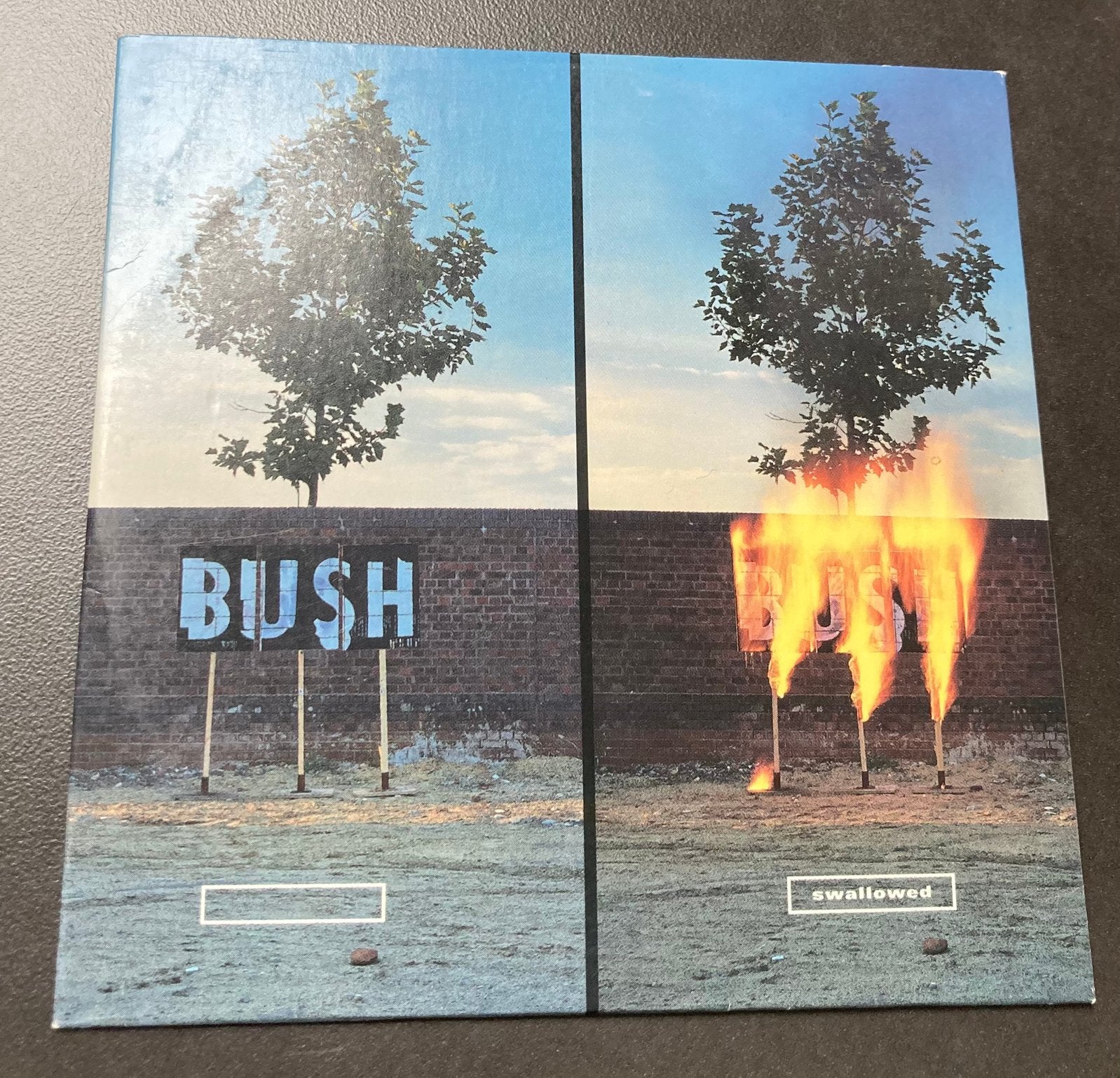 Bush - Swallowed (2-track cd-single), Ophalen of Verzenden, Single