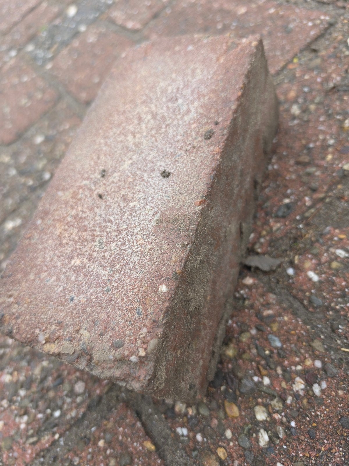 partij heide betonklinkers! volgende week beschikbaar, Ophalen of Verzenden, Minder dan 100 cm, Biels, Minder dan 25 cm
