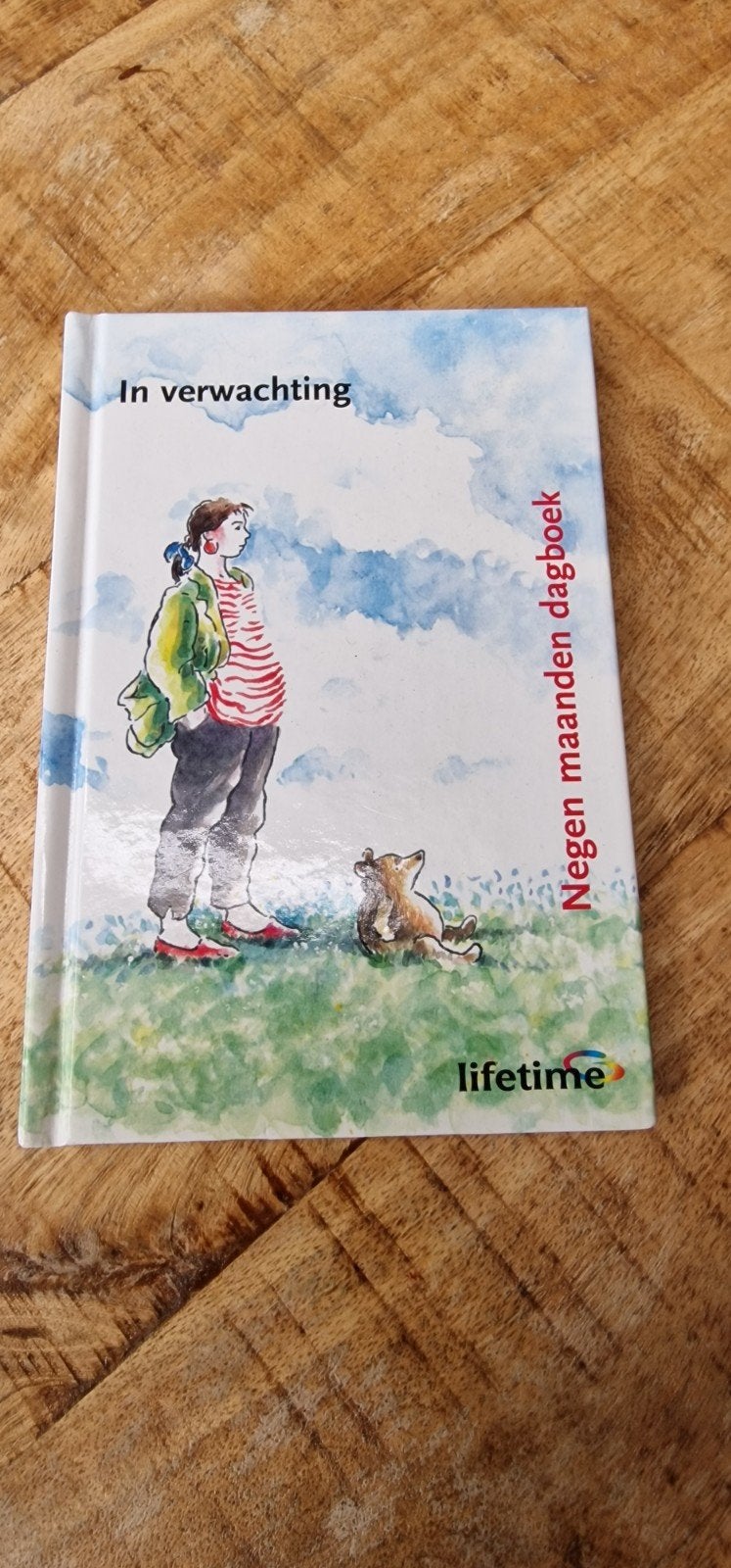 In verwachting: Negen maanden dagboek, Boeken, Zwangerschap en Opvoeding, Ophalen of Verzenden, Zo goed als nieuw, Zwangerschap en Bevalling