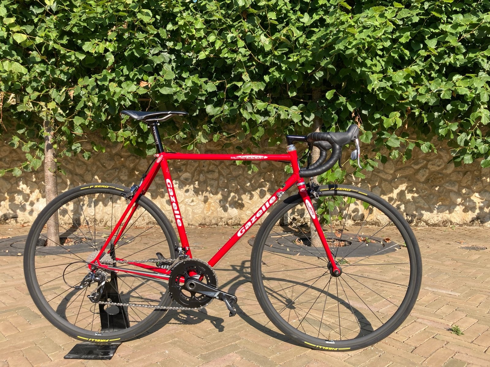 Gazelle Champion Mondial Special 55 1994 met moderne opbouw, Ophalen, 28 inch, Gebruikt, Staal