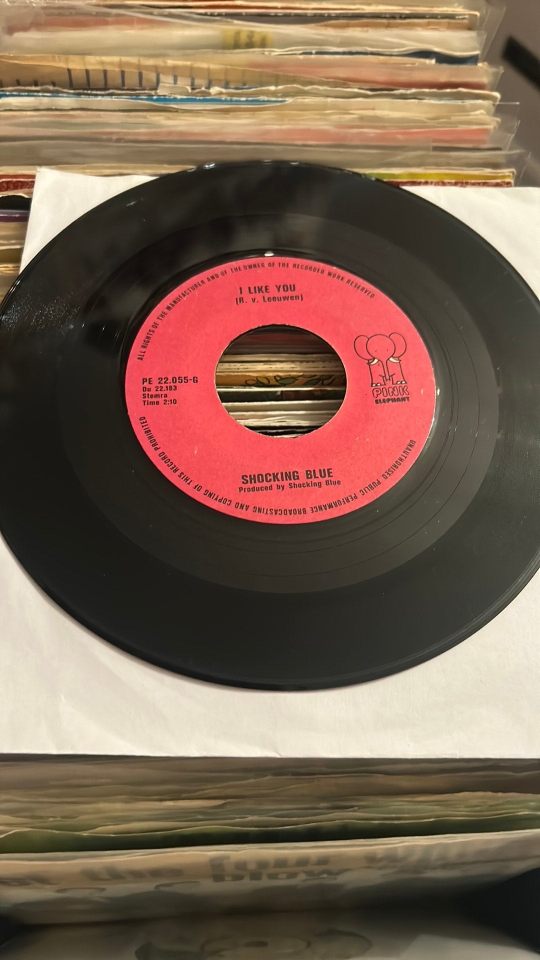 Shocking blue -  i like you, Ophalen of Verzenden, Zo goed als nieuw