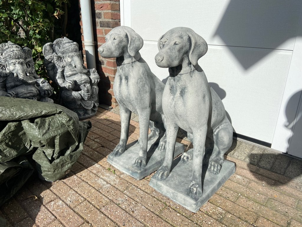 Engelse Jachthond , Pointer , Weimaraner , hoogte 72cm, Ophalen, Nieuw, Beton, Dierenbeeld