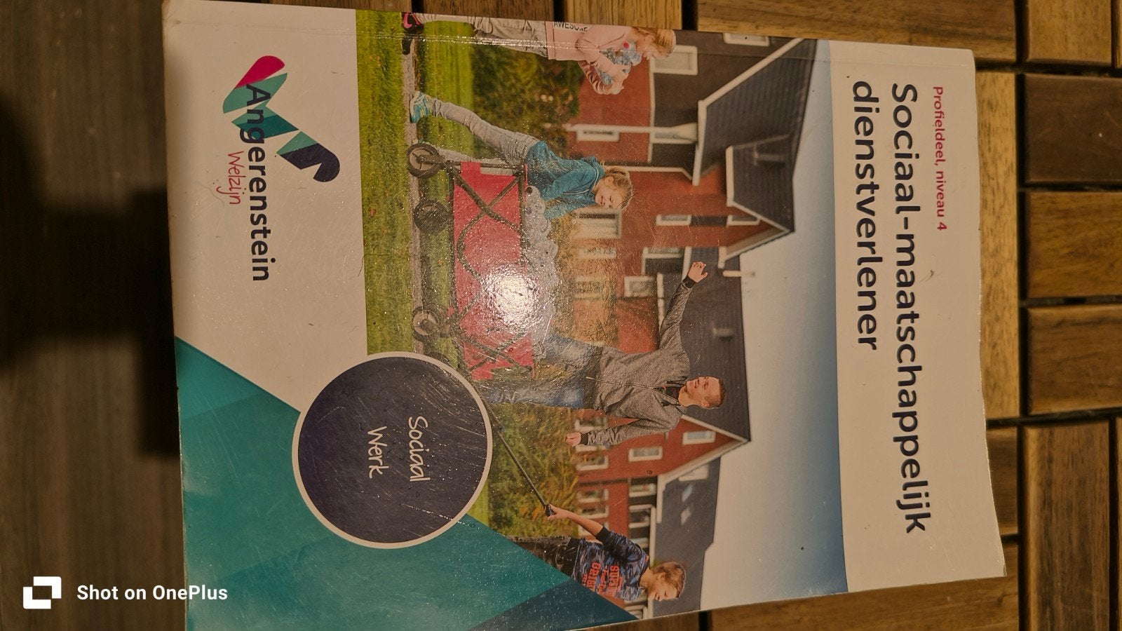 Angerenstein Welzijn: Sociaal-maatschappelijk dienstverlener, Boeken, Ophalen of Verzenden, Zo goed als nieuw, MBO, Gamma