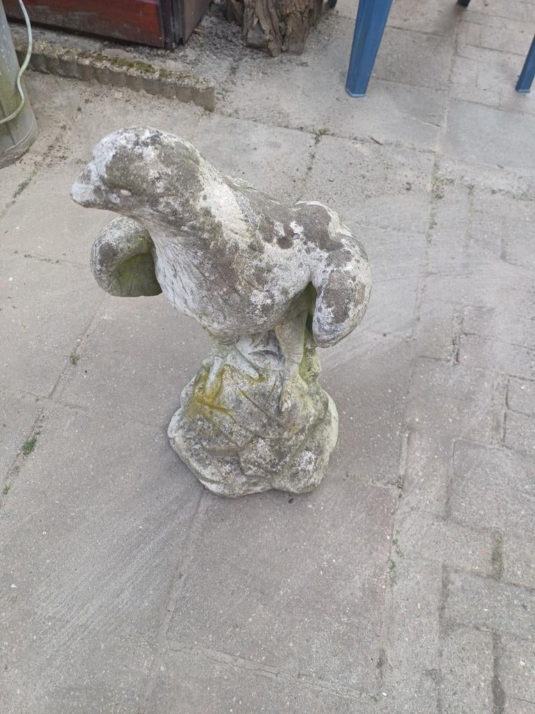 Tuin adelaar, Tuin en Terras, Ophalen, Steen